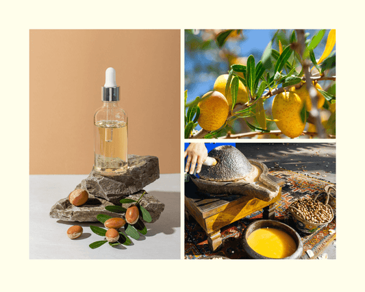 3 images de l'argan du Maroc